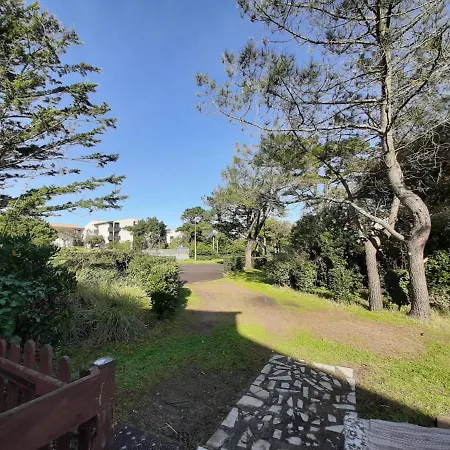 Holiday home Maison Renovee Avec Terrasse A 700m Des Plages, Marche Et Activites - Tennis Et Piste Cyclable A 10m - Fr-1-239-385 *