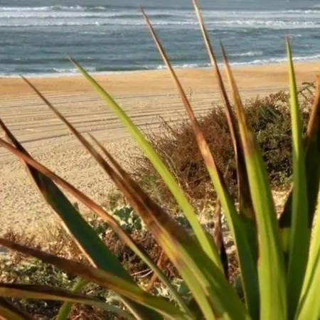 Maison Rénovée Avec Terrasse à 700m Des Plages, Marché Et Activités - Tennis Et Piste Cyclable à 10m - Fr-1-239-385 Hébergement de vacances *